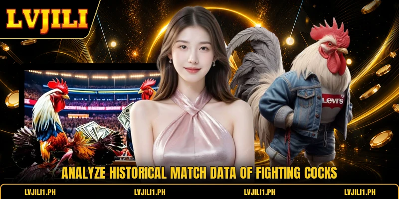 Analyze historical match data of fighting cocks