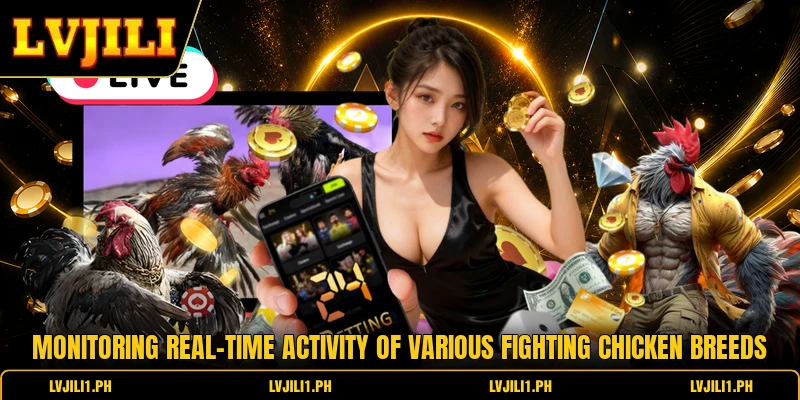 Monitoring real-time activity of various fighting chicken breeds